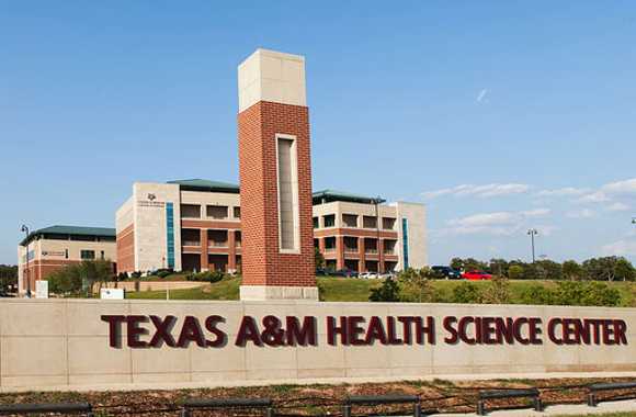 Texas A&M System removes DEI policies from hiring, admissions